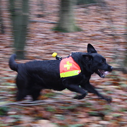 RHS Pinneberg Flächentraining