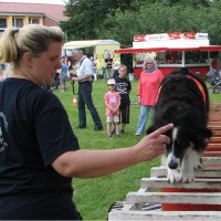 Rettungshunde Pinneberg | Wiesenfest Moorrege