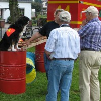 Rettungshunde Pinneberg | Wiesenfest Moorrege