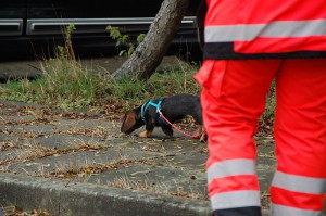 Erstes Training mit Berta