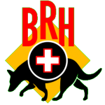 brh_icon_256